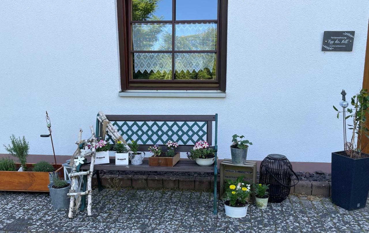 Ferienwohnung In Der Vulkaneifel "Opp Der Holl" Brockscheid Екстериор снимка